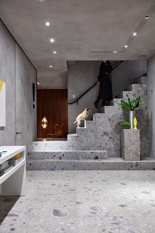staircase with dog