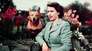 71 Photos of Queen Elizabeth IIs 70Year Reign