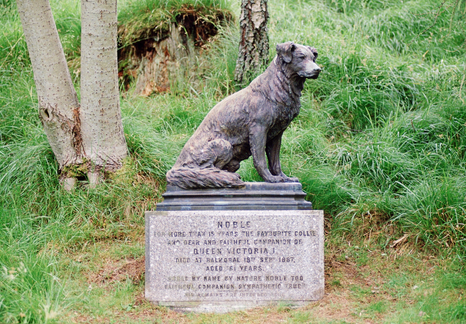 Dog statue among grass a brown rendering of Queen Victorias dog Noble at Balmoral Castle grounds